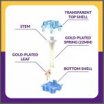 Dareu x TTC V2 Switch - Image 3