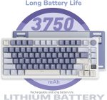 ROYAL KLUDGE RK M75 Gasket Mounted Tri-Mode Mechanical Keyboard with OLED Smart Display & Knob ( Silver Switch ) - Image 2